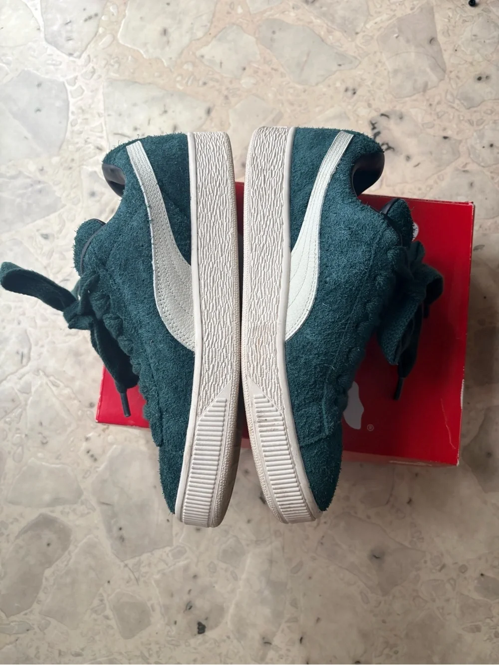 Puma brand model